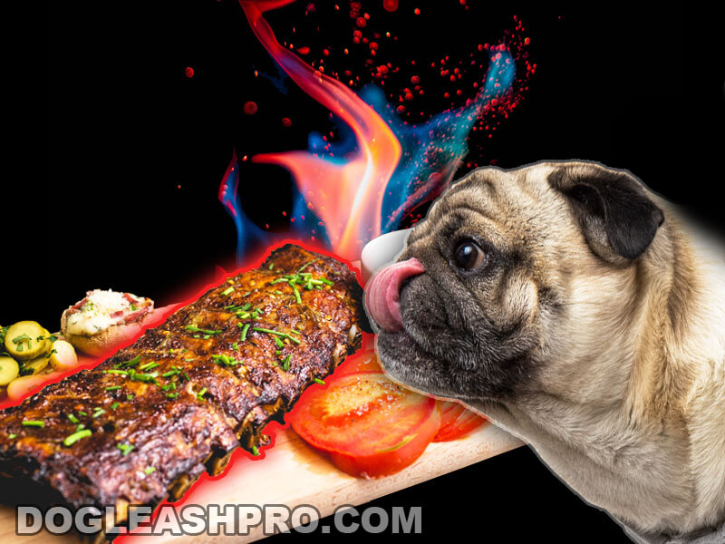 Can Dogs Eat Pork Rib Bones