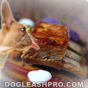Can Dogs Eat Rib Bones