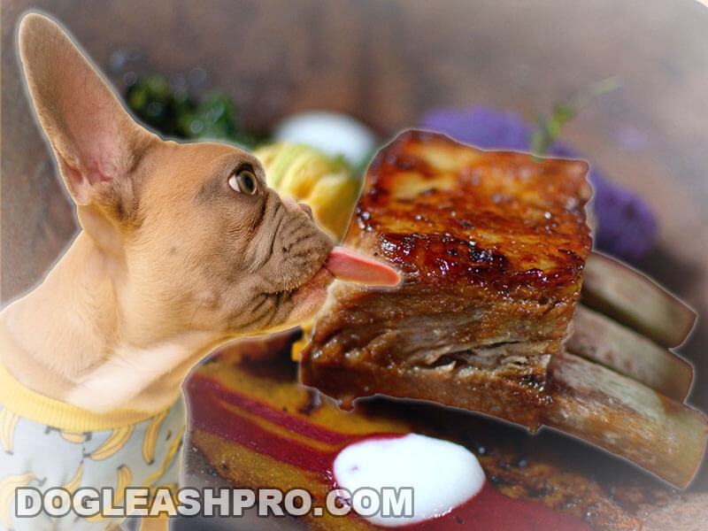 can u give a dog pork rib bones