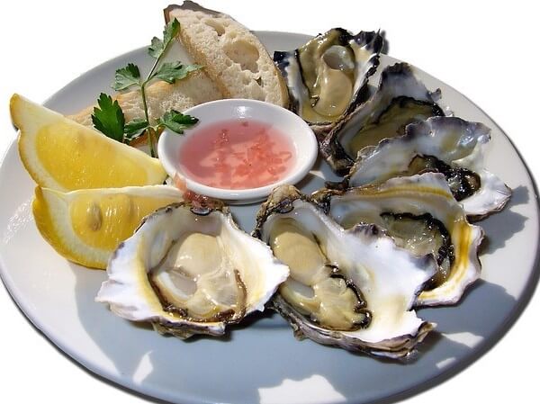 are oysters toxic to dogs