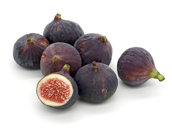 can dogs eat fig fruit