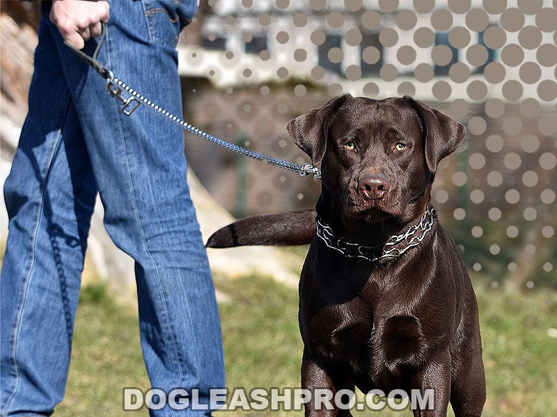 What To Put On Rope Burn From Dog Leash