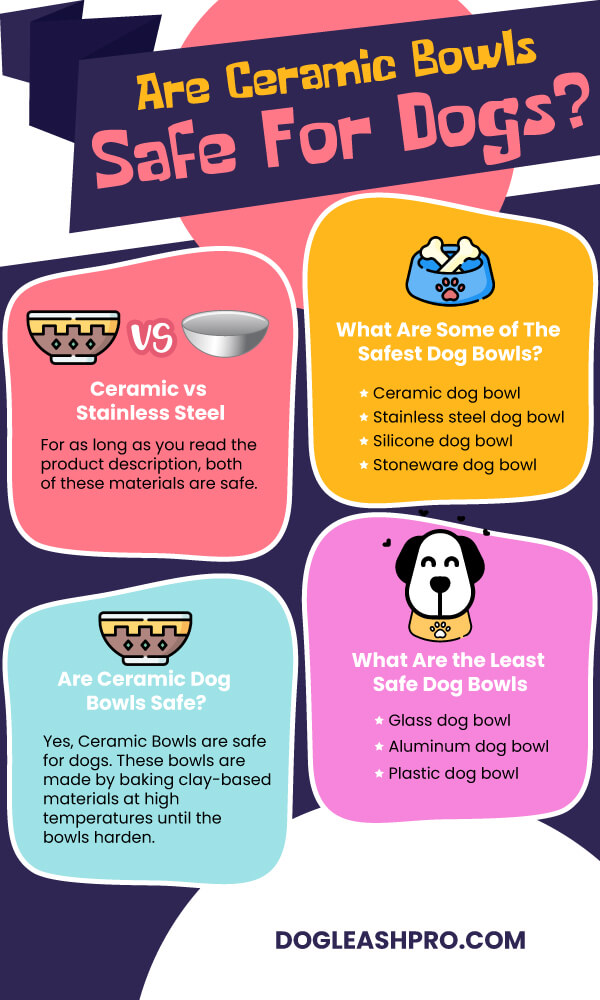 Is Stainless Steel Or Ceramic Better For Dog Bowls