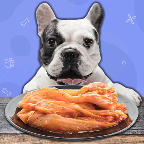 Can Dogs Eat Kimchi