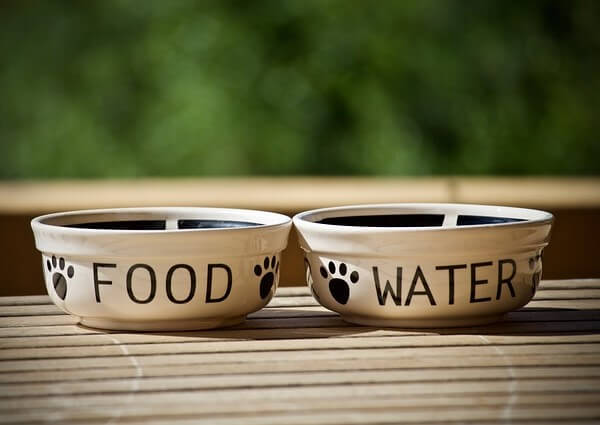 Dog Keeps Nudging Food Bowl